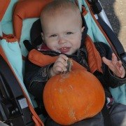 Top Pumpkin Picking Farms for Families in New Jersey