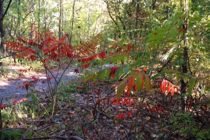 Fall Family Travel Deals for Columbus Day Weekend and Beyond