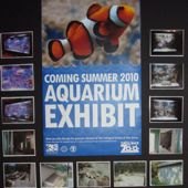 Sneak Peak: Turtle Back Zoo's New Aquarium Exhibit