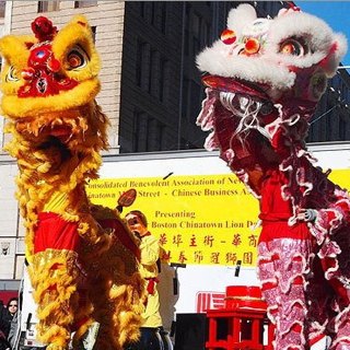 Year of the Horse: 10 Ways to Celebrate the Lunar New Year with Kids in Boston