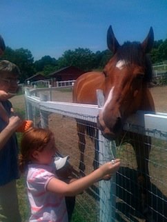 Visit the Farms of Westchester