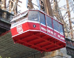 40 Things to Do with Kids in NYC for a Fun-filled Staycation