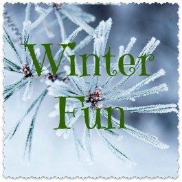 Winter Fun: The Best Things to Do in Boston with Kids