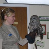 Owl Prowl