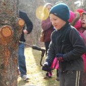 Maple Sugaring Exploration