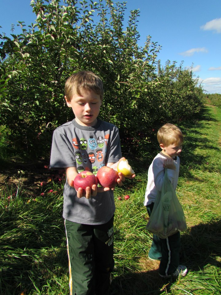 Apple Picking Orchards in Hartford County, CT MommyPoppins Things