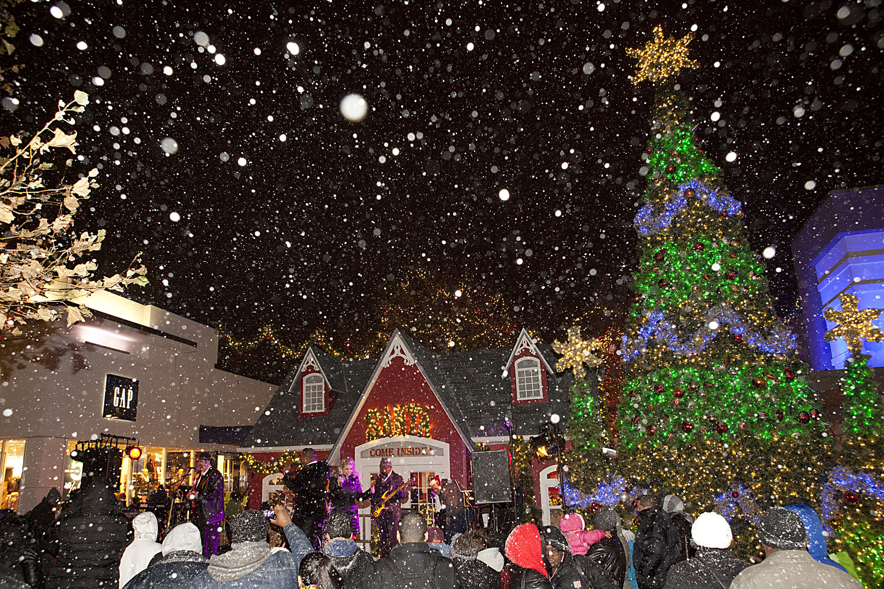 Christmas Tree and Menorah Lightings for Holidays in Westchester