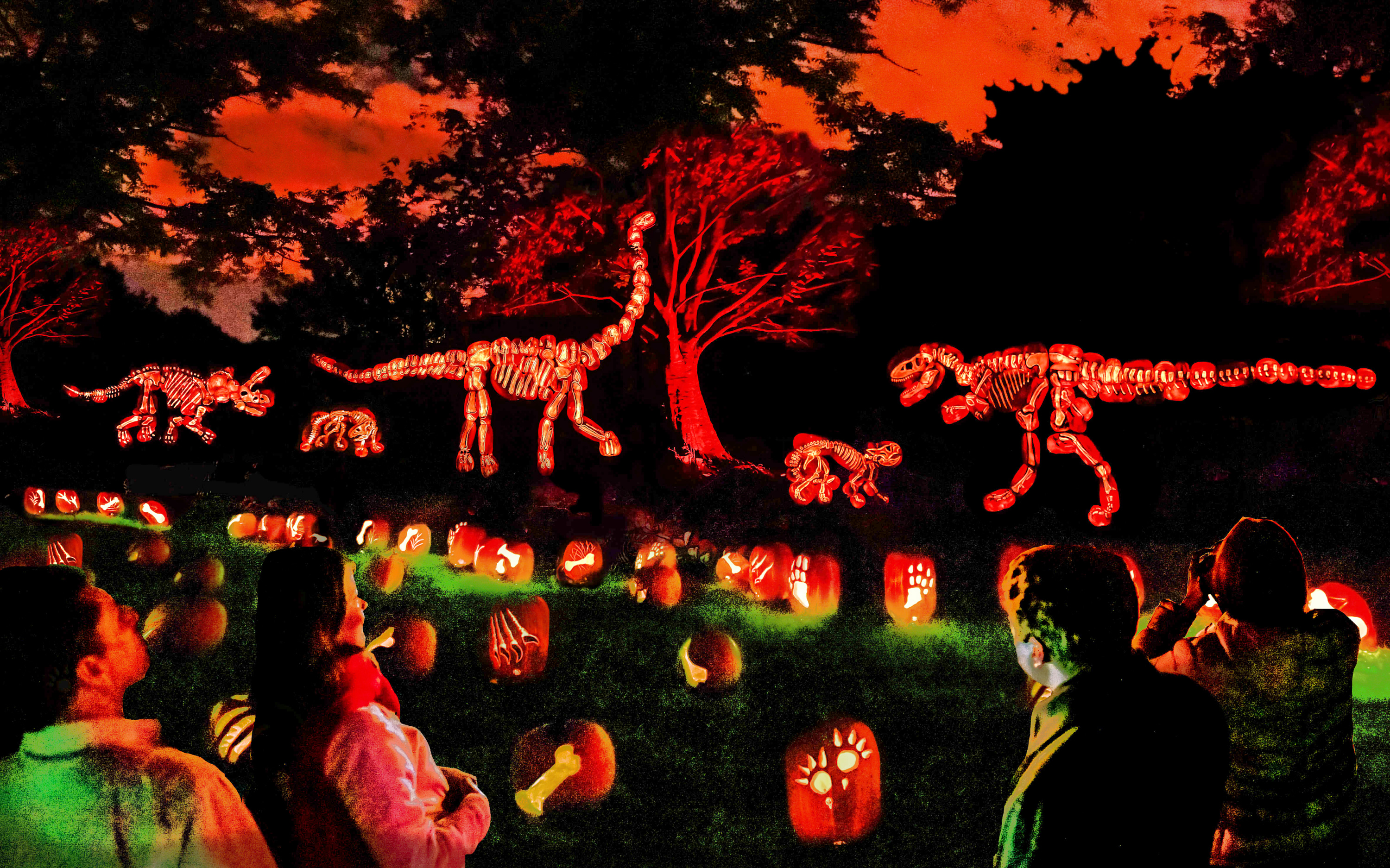 Jack O’Lantern Journey at Franklin Park Zoo 5 Tips for a Fun Family