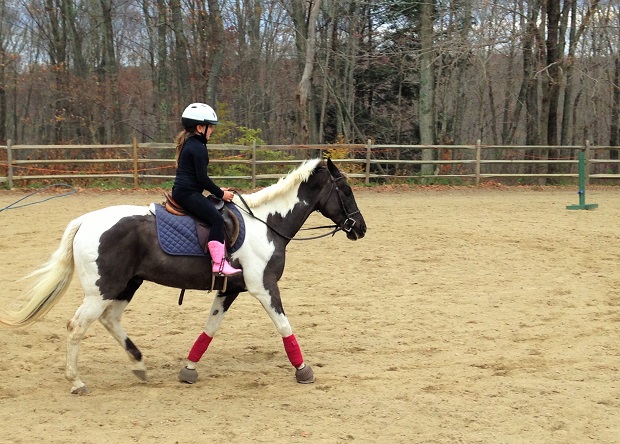Best Philadelphia Horseback Riding Lessons For Kids Best Philadelphia Horseback Riding Lessons For Kids