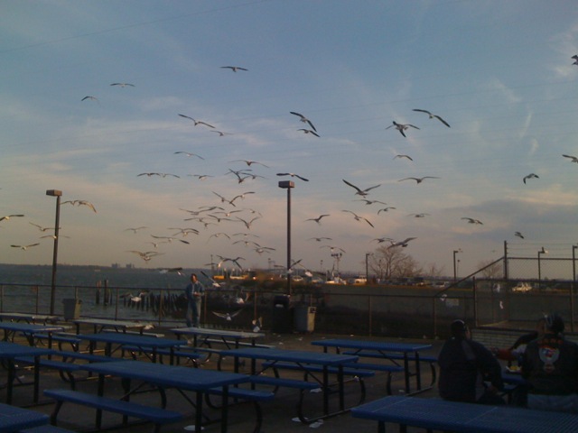 things to do on City Island