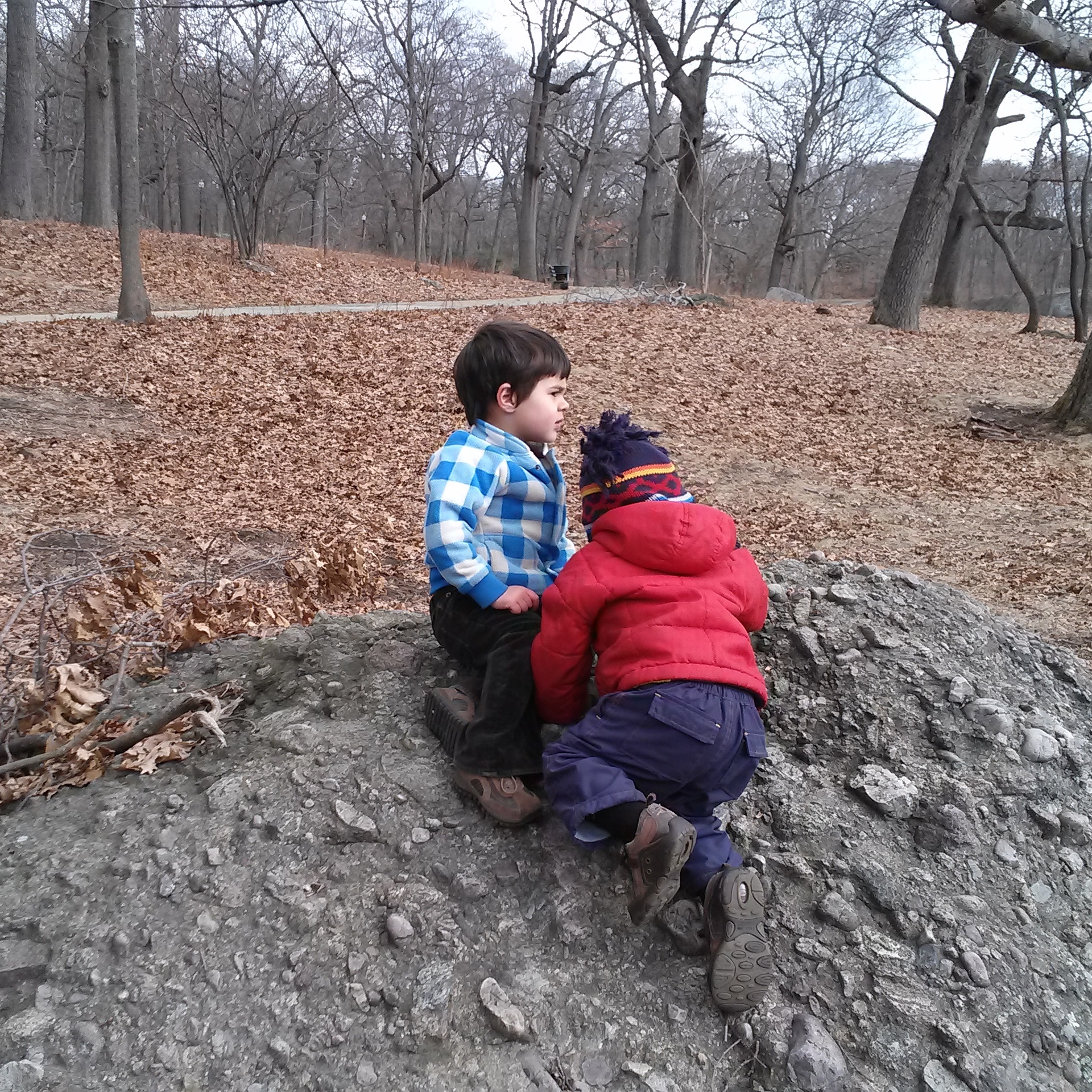 Through this duck tour, your family avoids the inconvenience and. Exploring Franklin Park with Toddlers Mommy Poppins Things To Do in