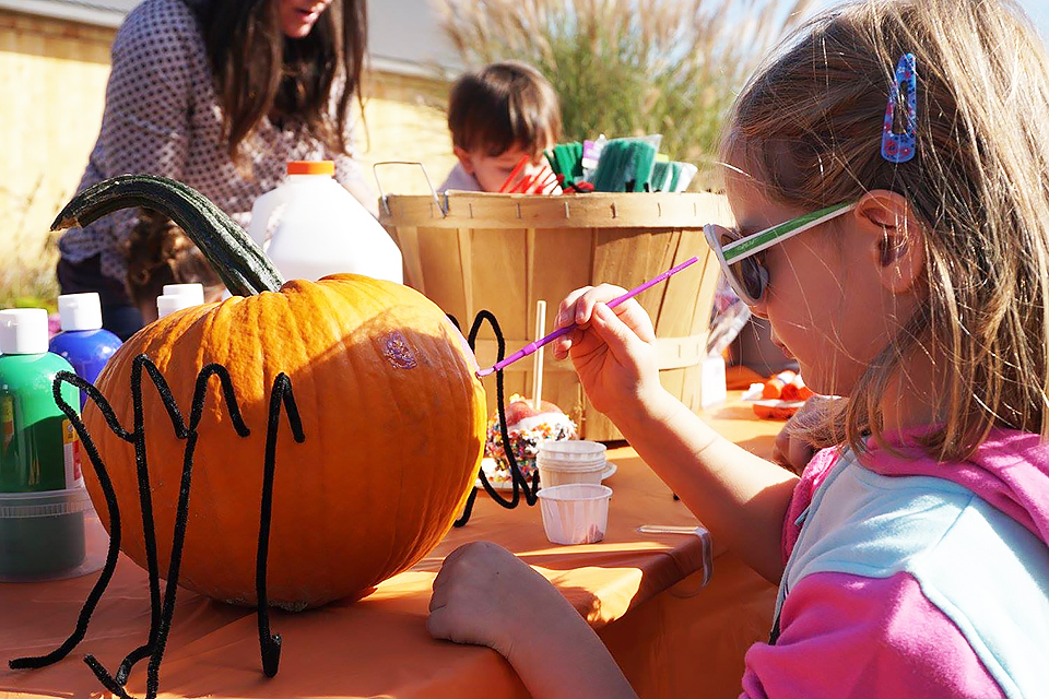 30 Awesome Things To Do with Westchester Preschoolers this Fall Mommy