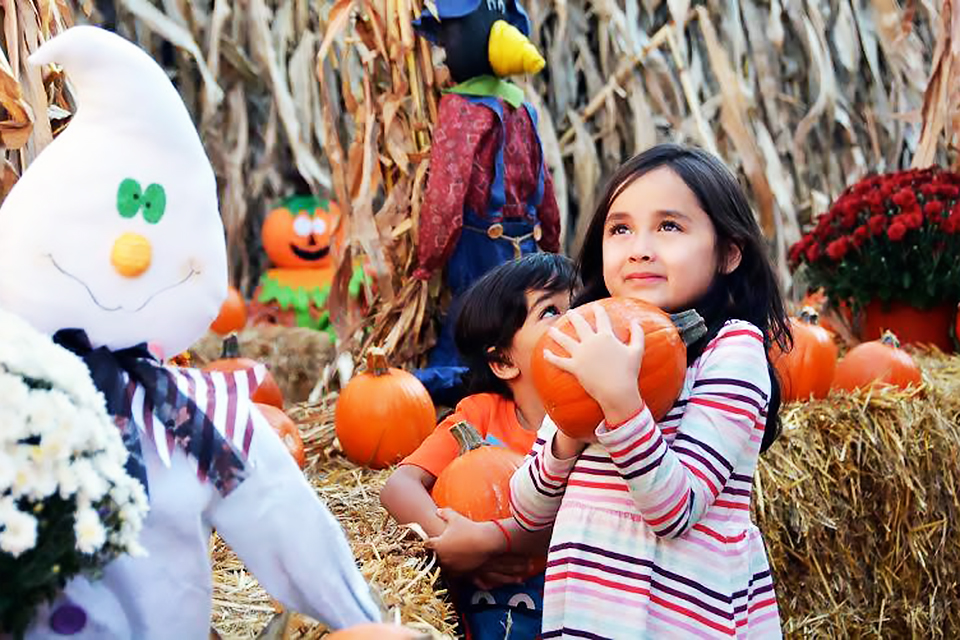 Best Fall Festivals for NYC Kids in September Mommy Poppins Things