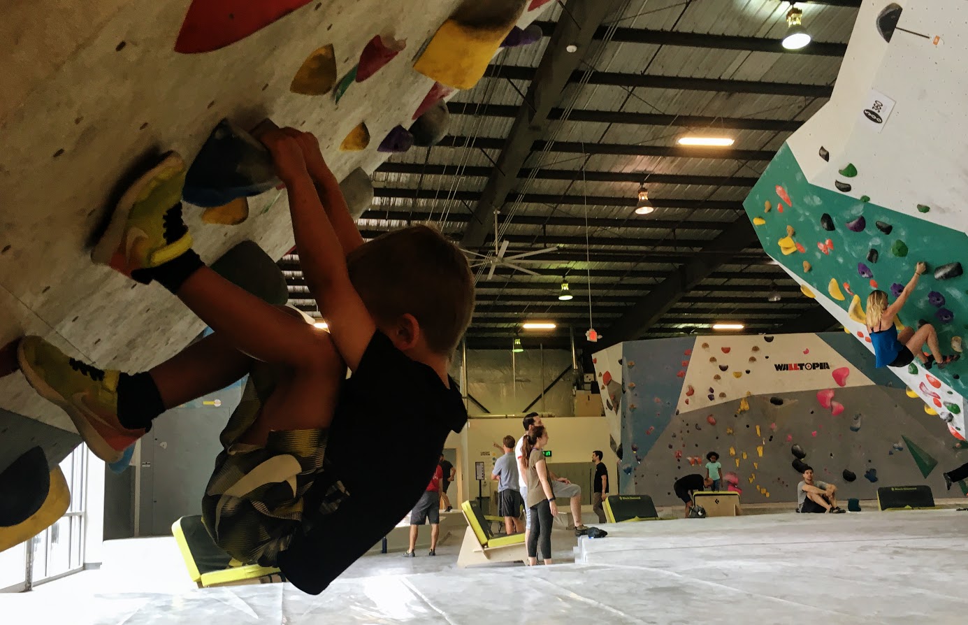 Momentum Indoor Climbing Adventure & Fun For Climbers of All Sizes