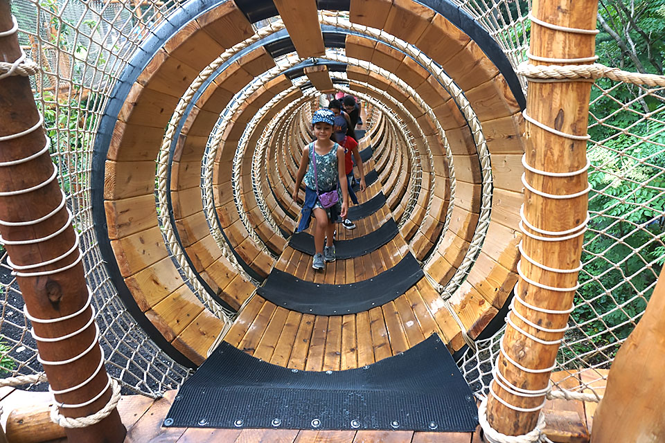 7 New Summer Camps for NYC Kids in 2018 MommyPoppins Things to do