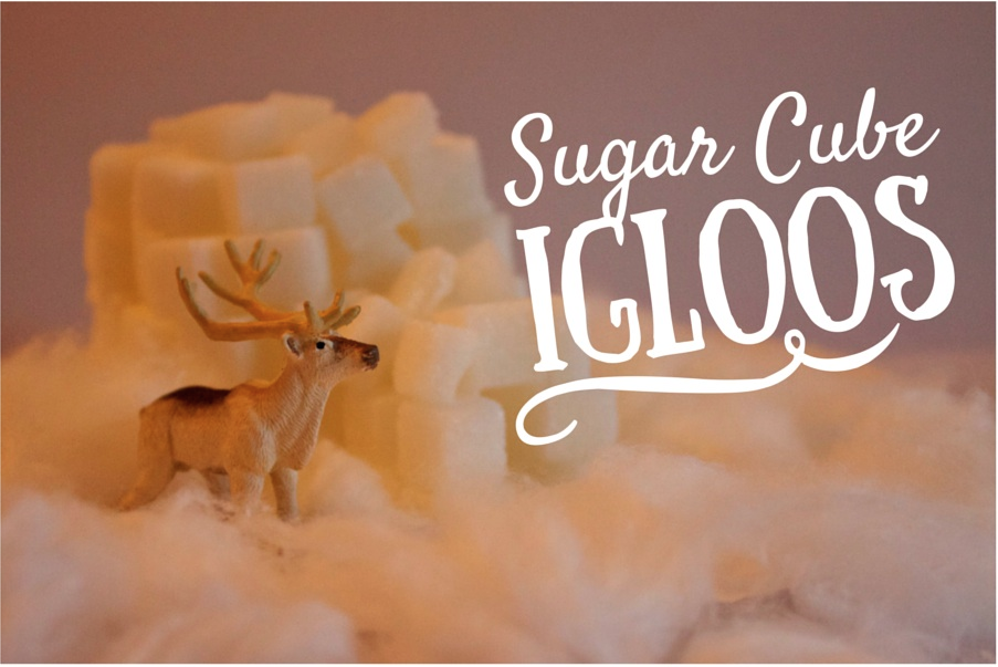 Winter Kids Craft Sugar Cube Igloos MommyPoppins Things to do with