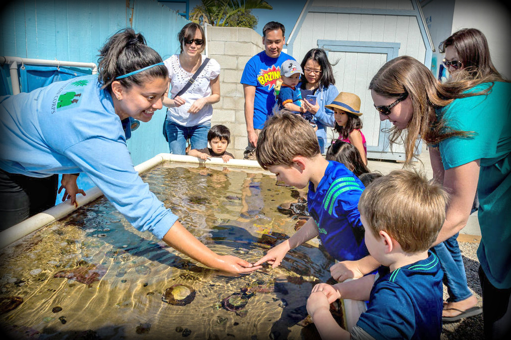 Things To Do For Kids In Redondo Beach Things To Do For Kids In Redondo Beach