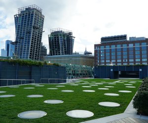 The Pier 57 rooftop park is free to explore