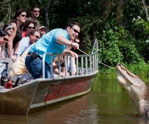 Fun Things To Do in New Orleans with Kids:Cajun Bayou Swamp Tour