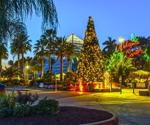 The Best Family Christmas Getaways in Texas