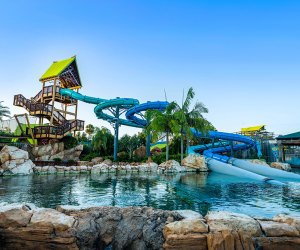 Teen Orlando Summer Bucket List:: Aquatica Orlando AquaGlow