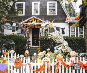 Best Neighborhoods to Trick-or-Treat Near DC | Mommy Poppins