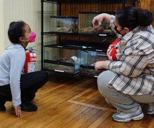 Looking at the hermit crabs at The Art Farm