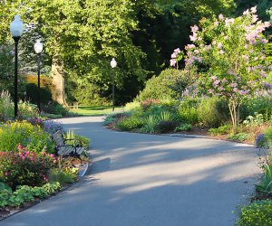 Bayard Cutting Arboretum is a beautiful place for a stroll