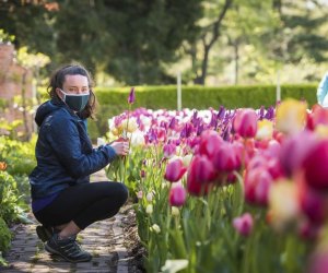 Image of a woman at BloomFest, a family activity open on Mothers Day in Boston.