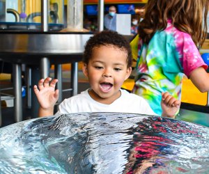 Photo of child at science exhibit at CT Science Center.