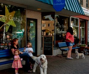 Must-Try Ice Cream Shops Near DC: The Dairy Godmother