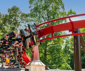 DC Area Theme Park News: Busch Gardens Williamsburg The Big Bad Wolf: The Wolf's Revenge