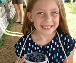 Image of a child blueberry picking near Boston