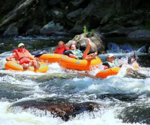 その他 Fun With the Family in Connecticut: Hundreds of Ideas for Day Trips With the Kids (2nd ed) Fun With the Family in Connecticut: Hundreds of Ideas for
