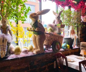 Things To Do in Georgetown: Filomena Ristorante