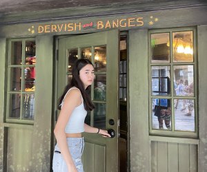 Dervish & Banges Visiting Wizarding World of Harry Potter in Orlando: Tips For a Magical Experience Status message