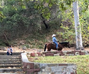 Griffith Park Shakespeare: and a horse rides by