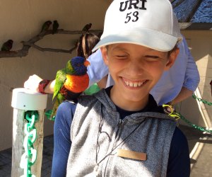 Lorikeet Encounter at Butterfly World, Florida