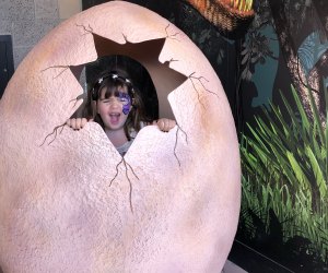 Things to Do in Phoenix with Kids: Pangaea