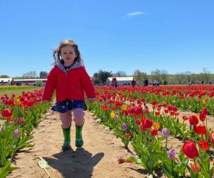 100 things to do in New Jersey with kids: Holland Ridge Farms