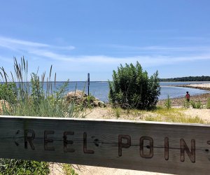 Reel Point Preserve