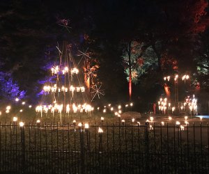 Fire Garden at the Brooklyn Botanic Garden's Lightscape