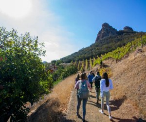 Things To Do on Mother's Day 2025 in Los Angeles Malibu Wine Hikes