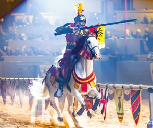 Dinner Shows in Maryland: Medieval Times