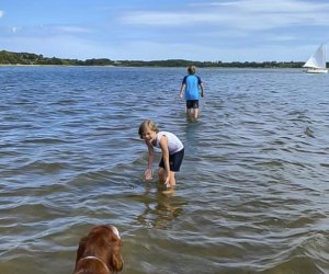 Image of family playing in water at Nauset Beach, Cape Cod.