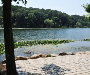 The Fishing Pad at Oakland Lake at Ally Pond Park