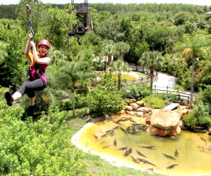 Screamin' Gator Zipline.