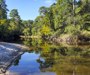 Day trips from Houston: Big Thicket National Preserve