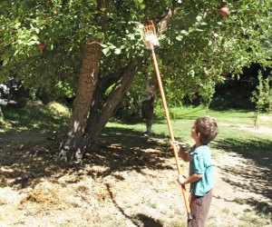 Apple Picking near Los Angeles Willowbrook Farm