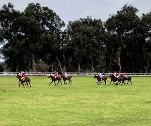 Fall Activities near Los Angeles for Kids: Polo